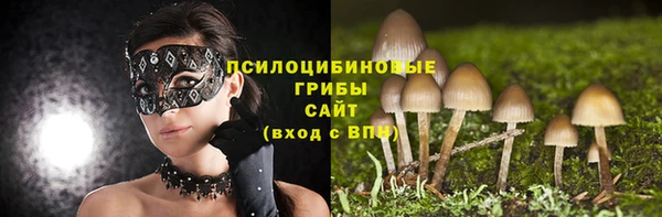 мяу мяу кристалл Покачи